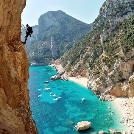 فندق Bedandclimbing بوناي المظهر الخارجي الصورة